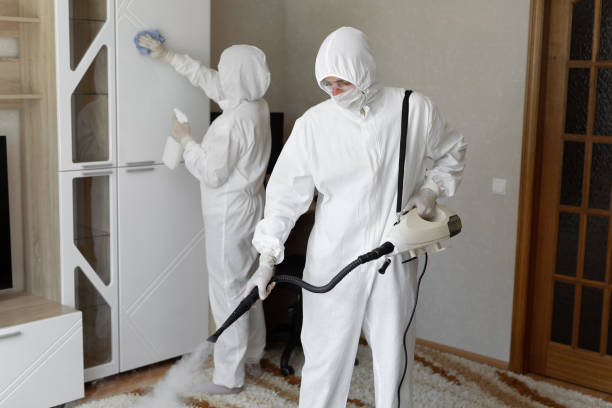 Mold Testing and Removal in Midland City, AL