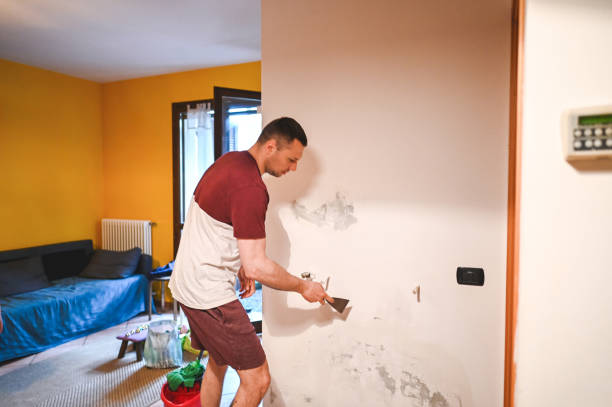 Best Toxic Mold Removal  in Midland City, AL